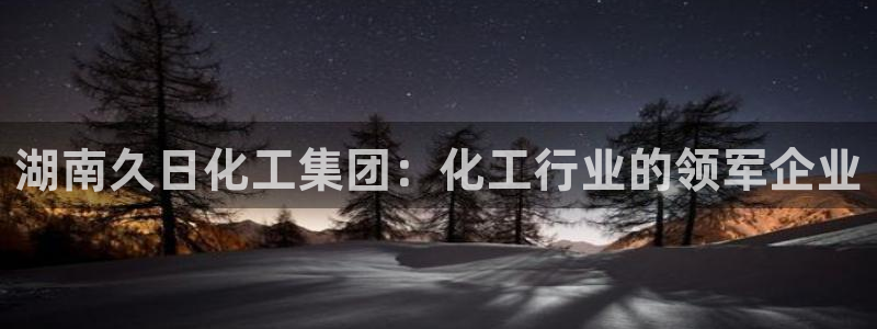 球盟会登陆
