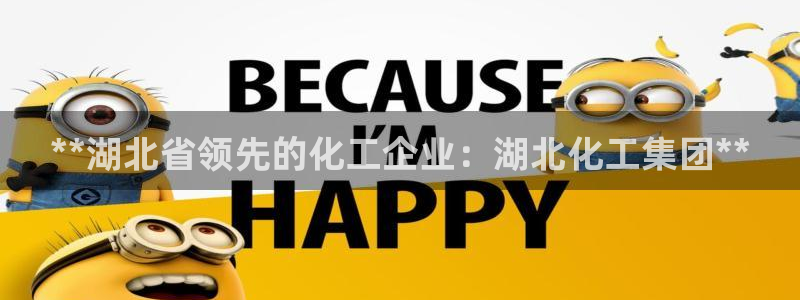 球盟会类似的网站：**湖北省领先的化工企业：湖北化工集团**