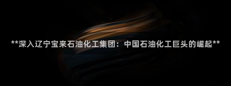 球盟会黑台子：**深入辽宁宝来石油化工集团：中国石油化工巨头