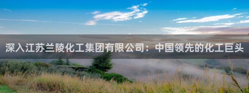 球盟会黑平台：深入江苏兰陵化工集团有限公司：中国领先的化工巨