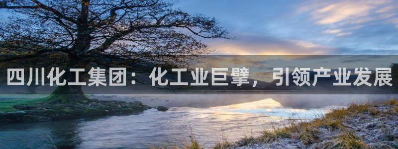 球盟会官网入口
