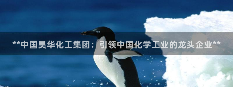 球盟会邮箱：**中国昊华化工集团：引领中国化学工业的龙头企业