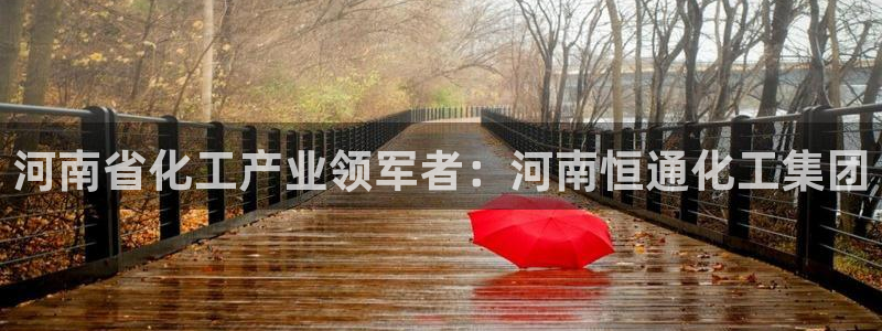 球盟会网页版：河南省化工产业领军者：河南恒通化工集团