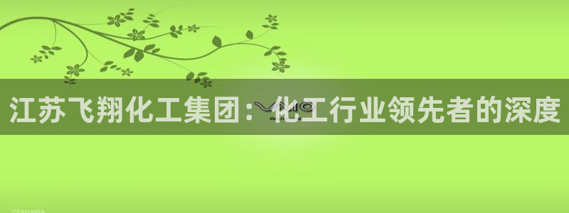 球盟会官方网站app：江苏飞翔化工集团：化工行业领先者的深度