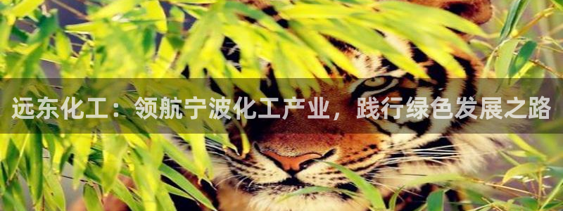 球盟会官方网站入口