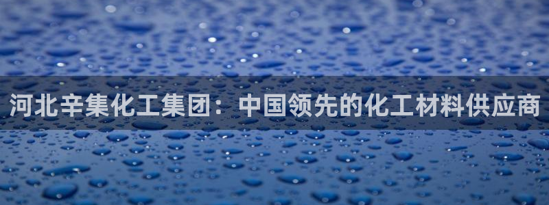 球盟会综合体育平台怎么样：河北辛集化工集团：中国领先的化工材