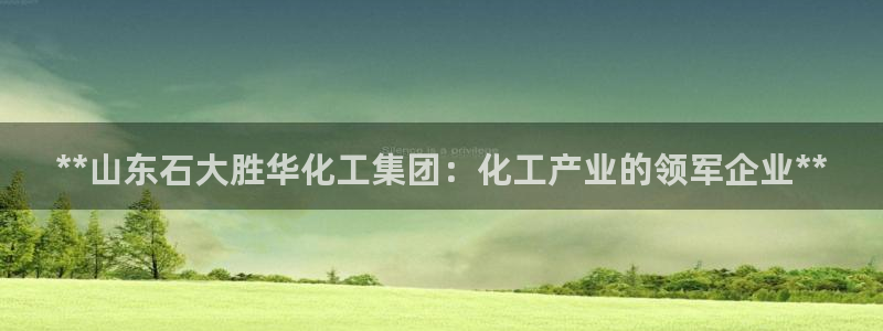 球盟会优惠领取网站是真的吗：**山东石大胜华化工集团：化工产