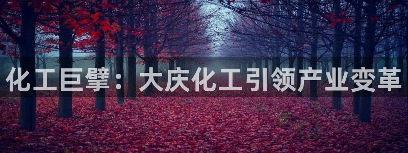 球盟会APP官网：化工巨擘：大庆化工引领产业变革