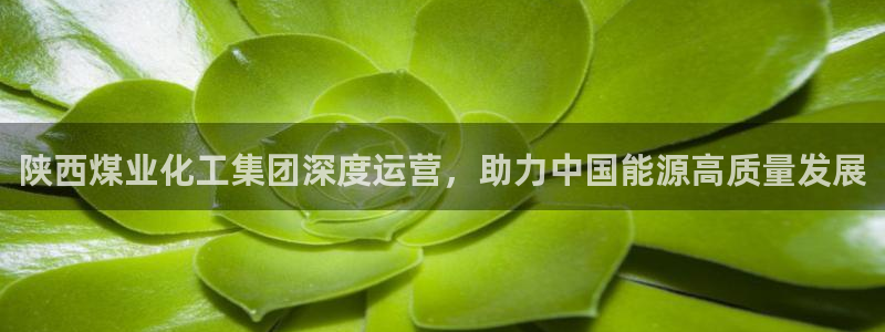 球盟会app安装：陕西煤业化工集团深度运营，助力中国能源高质