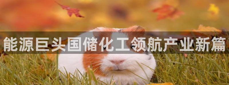 球盟会黑台子：能源巨头国储化工领航产业新篇
