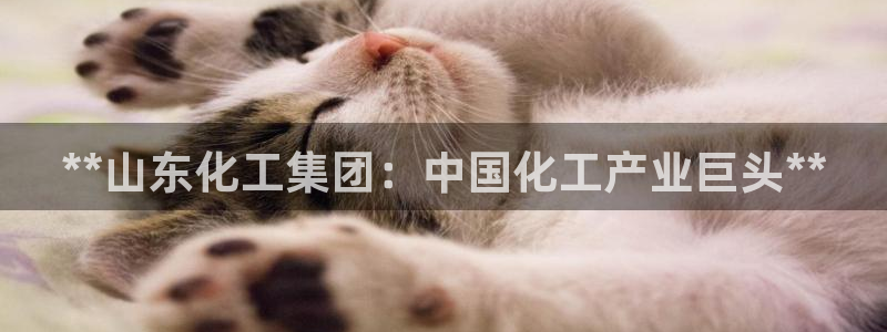 球盟会提款支付宝怎么样：**山东化工集团：中国化工产业巨头*