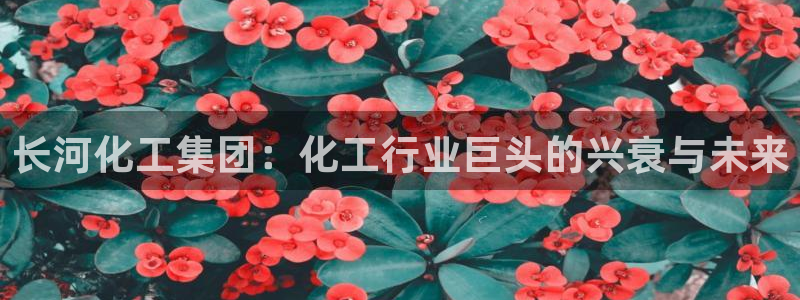 球盟会头号玩家是谁