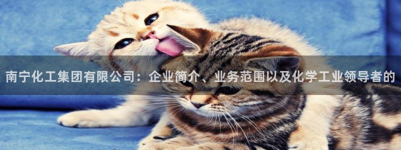 球盟会qmh登录地址：南宁化工集团有限公司：企业简介、业务范