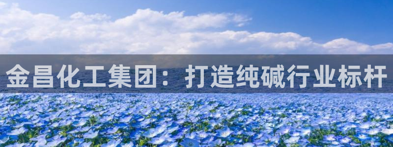 球盟会下载最新版