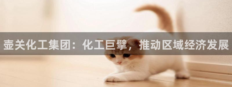 球盟会黑嘛