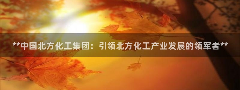 球盟会app最新地址在哪找：**中国北方化工集团：引领北方化