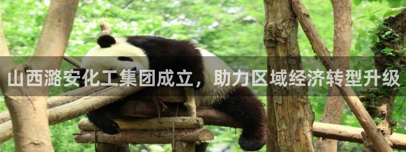球盟会app