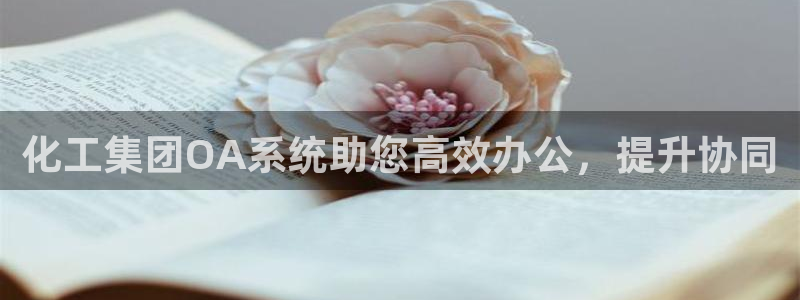 球盟会连接
