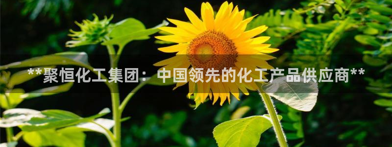 球盟会黑网：**聚恒化工集团：中国领先的化工产品供应商**