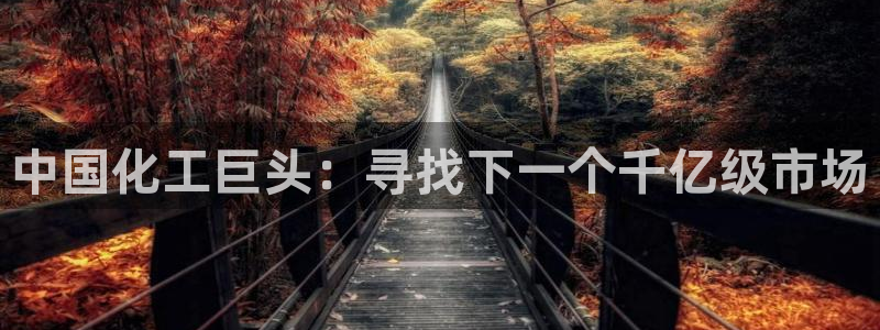 球盟会app最新地址在哪里：中国化工巨头：寻找下一个千亿级市