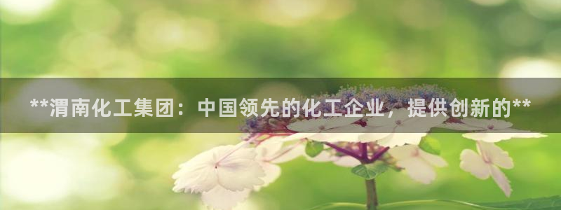 球盟会电子游戏平台：**渭南化工集团：中国领先的化工企业，提