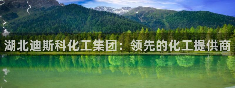 球盟会下款快吗：湖北迪斯科化工集团：领先的化工提供商