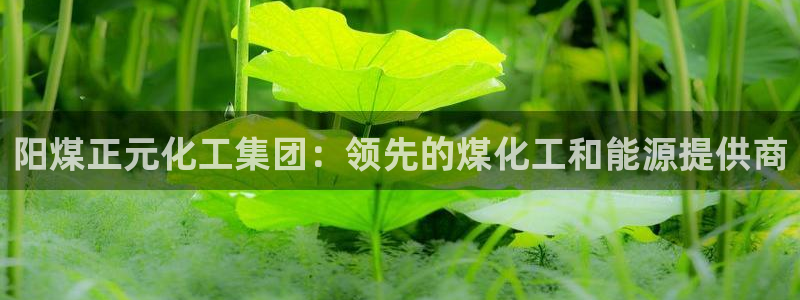 球盟会登录入口：阳煤正元化工集团：领先的煤化工和能源提供商