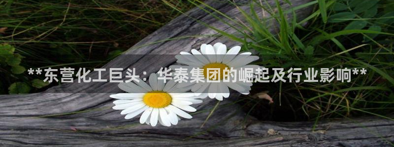 球盟会头号玩家是谁：**东营化工巨头：华泰集团的崛起及行业影