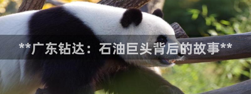 球盟会app网址多少号