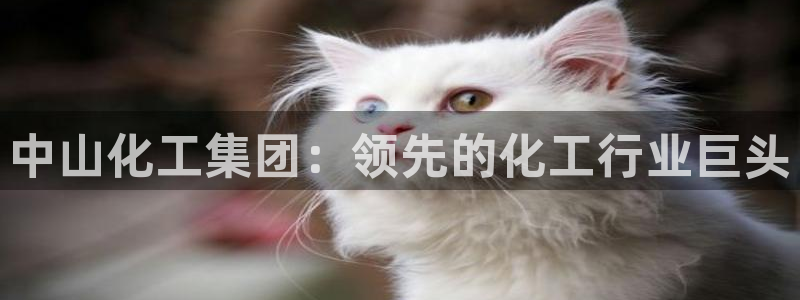 球盟会综合体育平台怎么样：中山化工集团：领先的化工行业巨头
