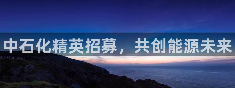 球盟会用的客服聊天是哪个软件：中石化精英招募，共创能源未来