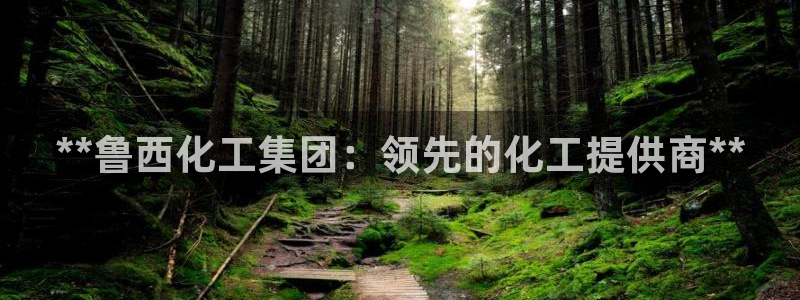 球盟会最新网：**鲁西化工集团：领先的化工提供商**