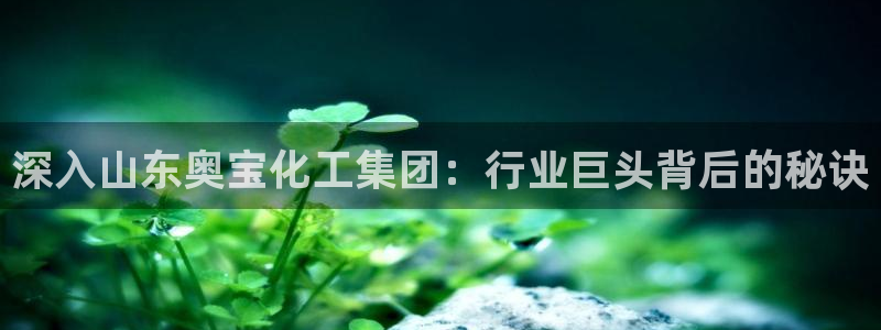 球盟会qm9