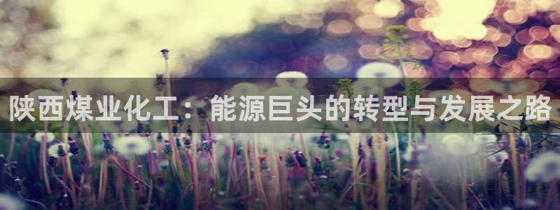 球盟会(中国)官方网站