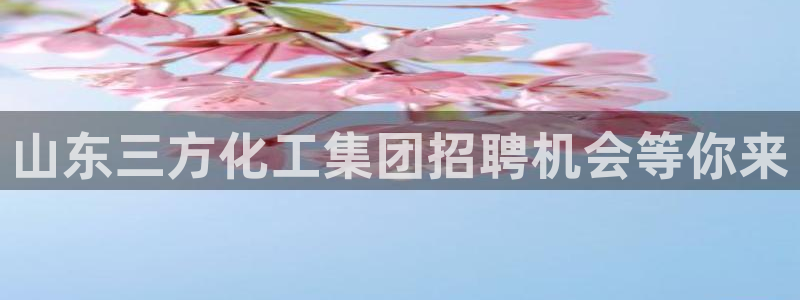 球盟会官方网站app