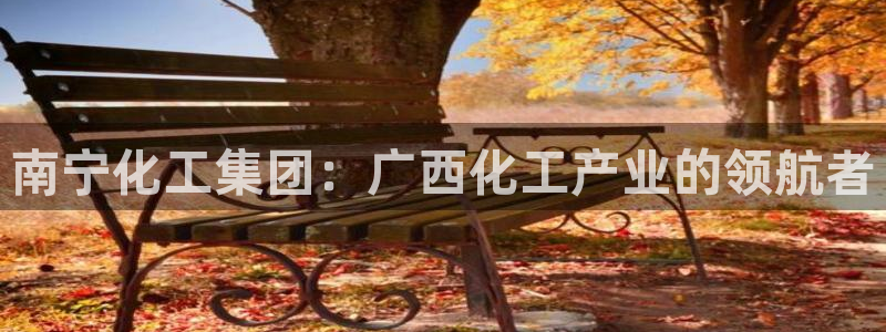 球盟会网页登录：南宁化工集团：广西化工产业的领航者