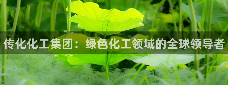 球盟会能提现吗是真的吗：传化化工集团：绿色化工领域的全球领导