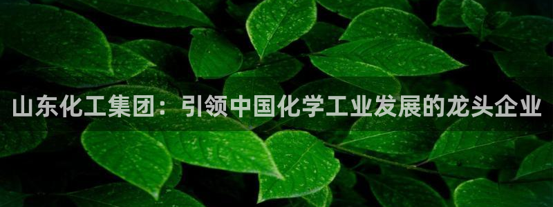 球盟会提款支付宝怎么样：山东化工集团：引领中国化学工业发展的