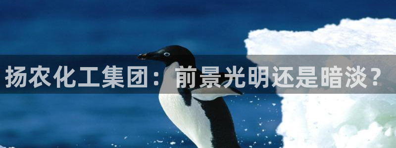 球盟会app最新地址下载安装
