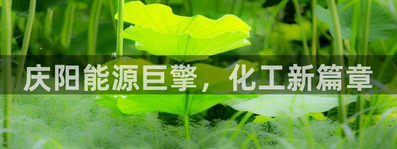 球盟会体验金球奖吗：庆阳能源巨擎，化工新篇章