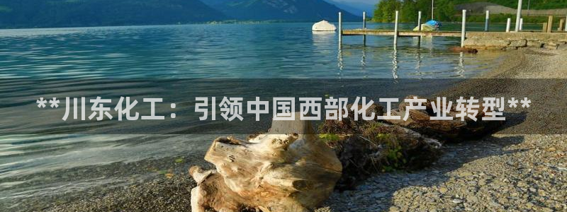 球盟会出款黑了：**川东化工：引领中国西部化工产业转型**