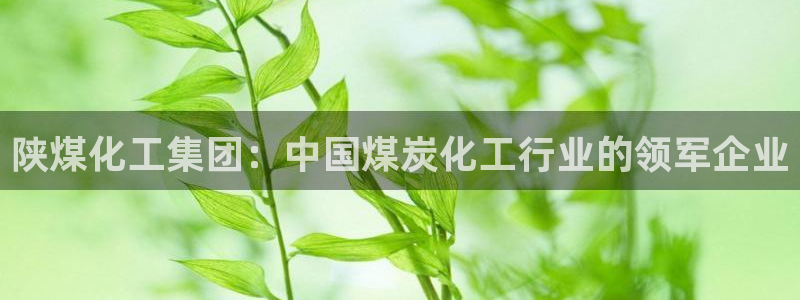 球盟会优惠领取网站是真的吗：陕煤化工集团：中国煤炭化工行业的