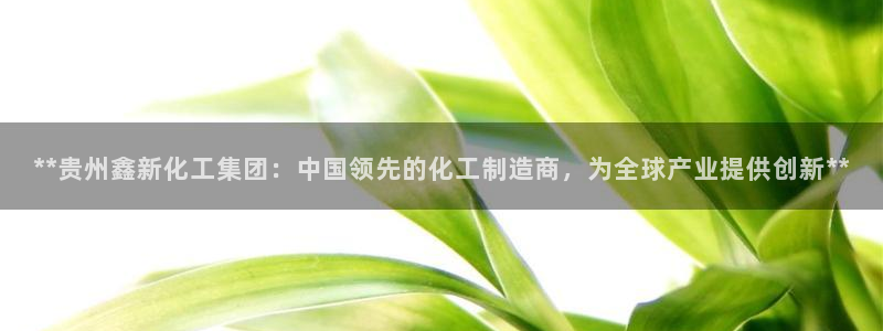 球盟会app最新地址在哪找：**贵州鑫新化工集团：中国领先的