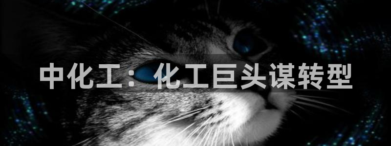 球盟会福利码2023最简单三个步骤：中化工：化工巨头谋转型
