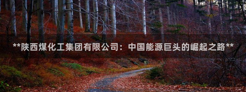 球盟会国际官网