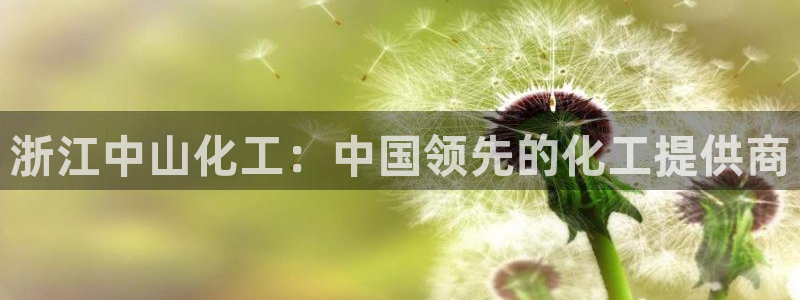 球盟会登陆：浙江中山化工：中国领先的化工提供商