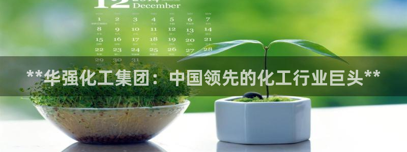 球盟会qmh登录地址：**华强化工集团：中国领先的化工行业巨