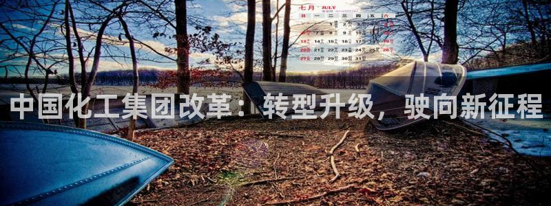 球盟会APP下载