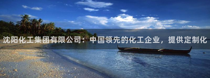 球盟会黑：沈阳化工集团有限公司：中国领先的化工企业，提供定制