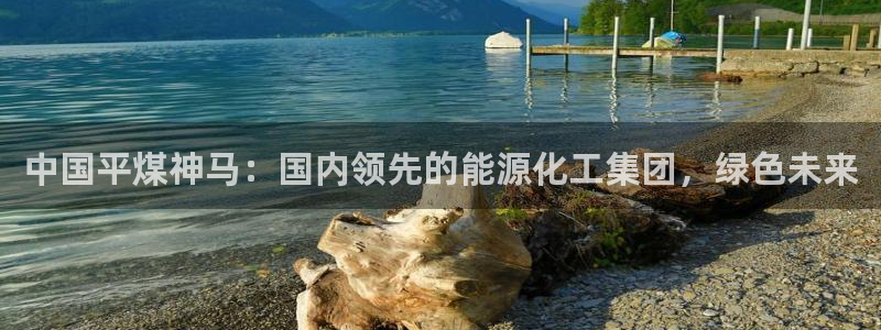 球盟会官方最新入口：中国平煤神马：国内领先的能源化工集团，绿